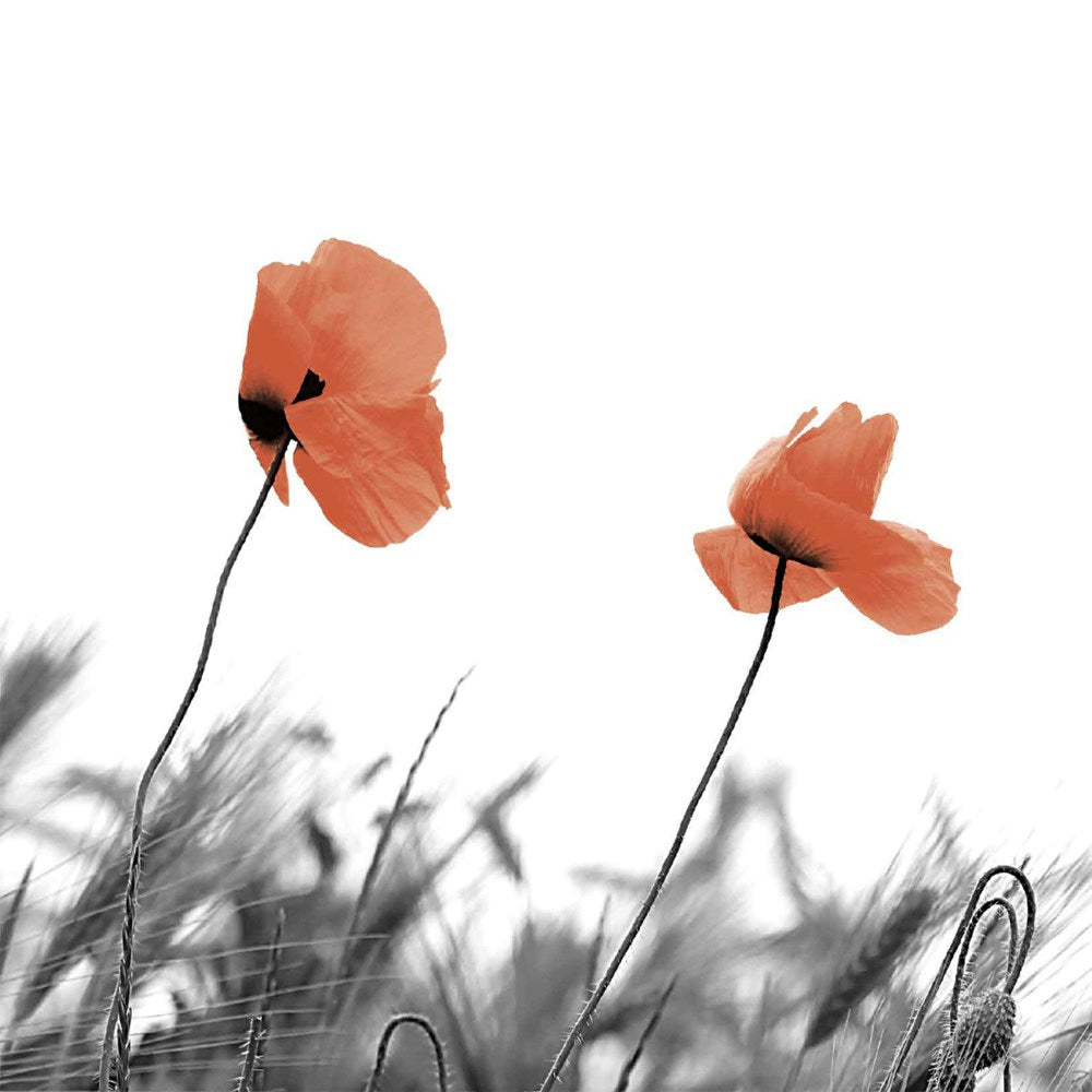 Luncheon Poppy Napkins