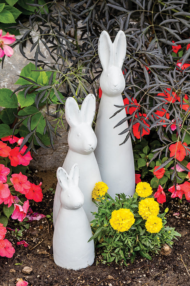 White Wide Bunnies