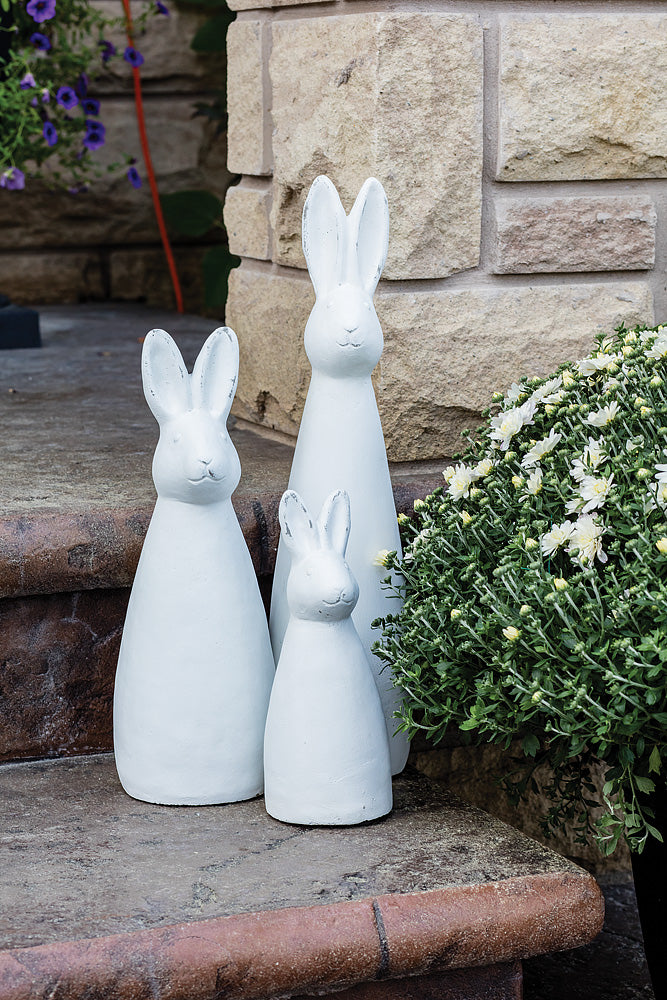 White Wide Bunnies
