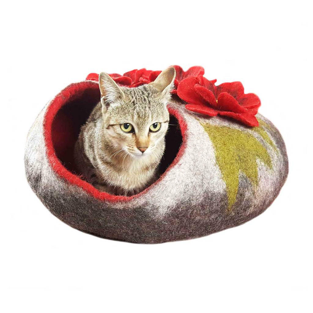 Cat Caves