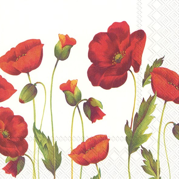 Luncheon Poppy Napkins