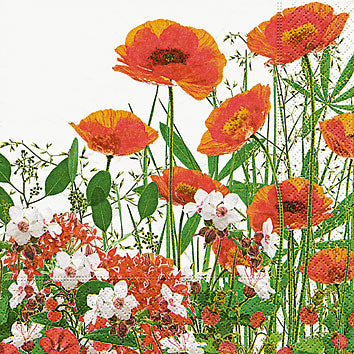 Luncheon Poppy Napkins
