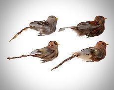 Mini Rustic Feather Birds