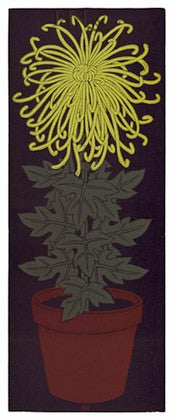 Yellow Chrysanthemum 232