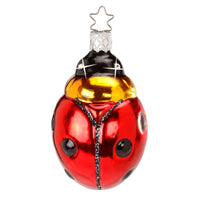 Sparkling Luck Ladybug Ornament