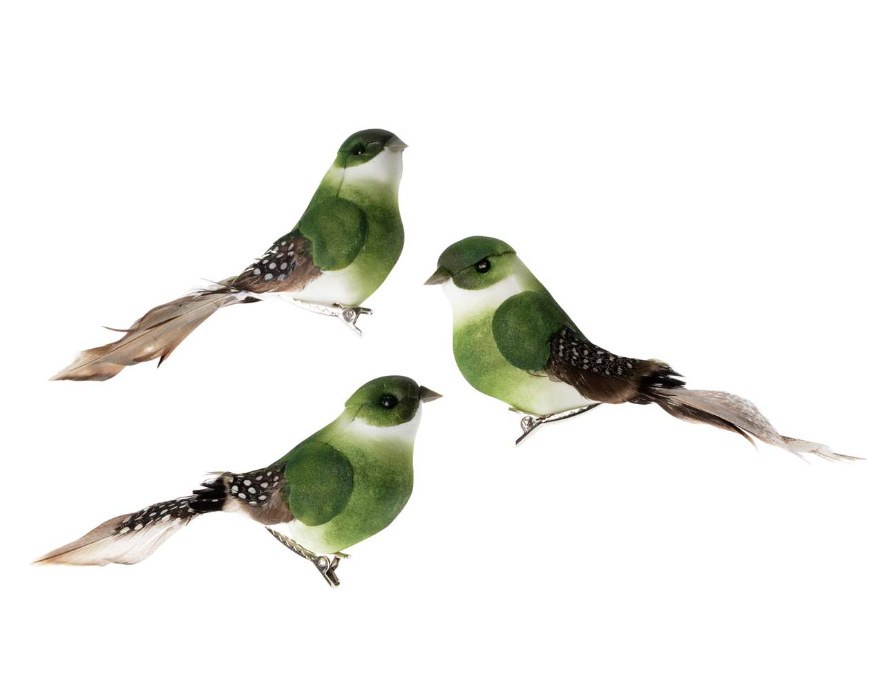 Bird Clips