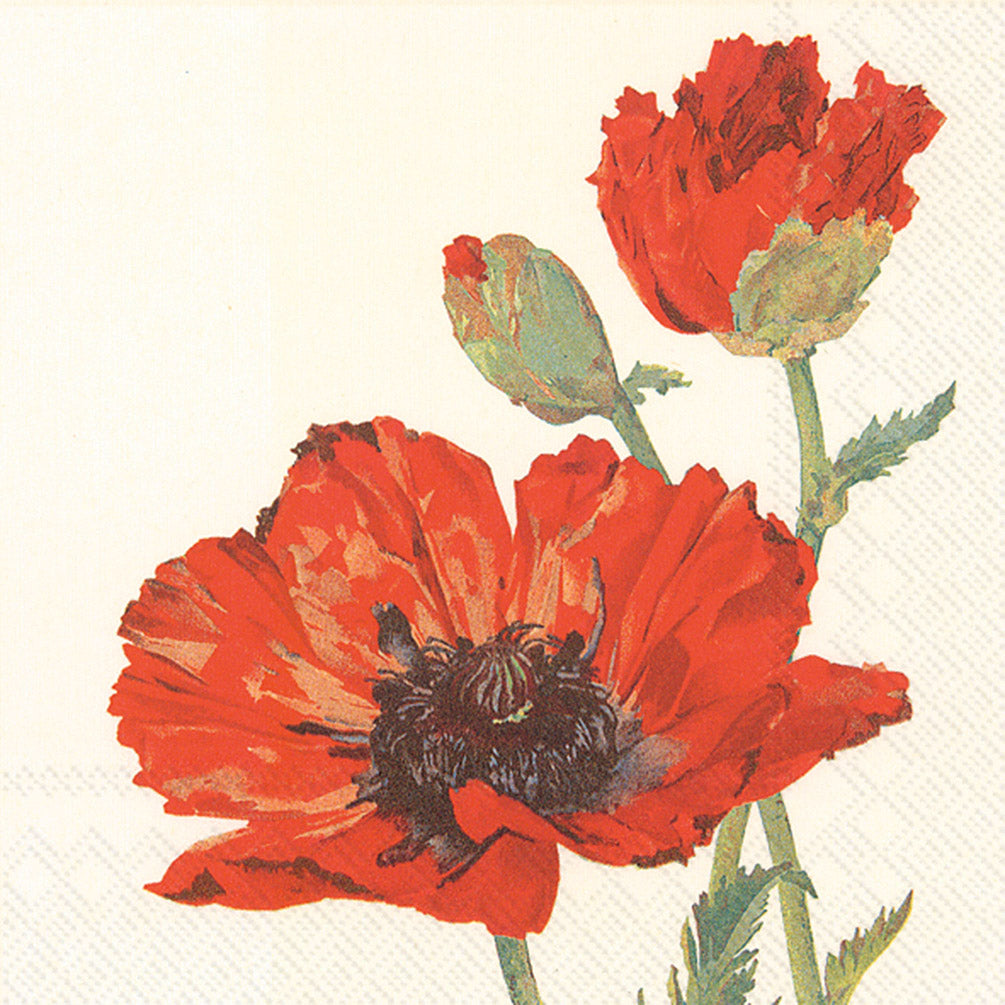 New Imported  Poppy Napkins