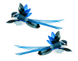 Variety of Feather Bird Clips