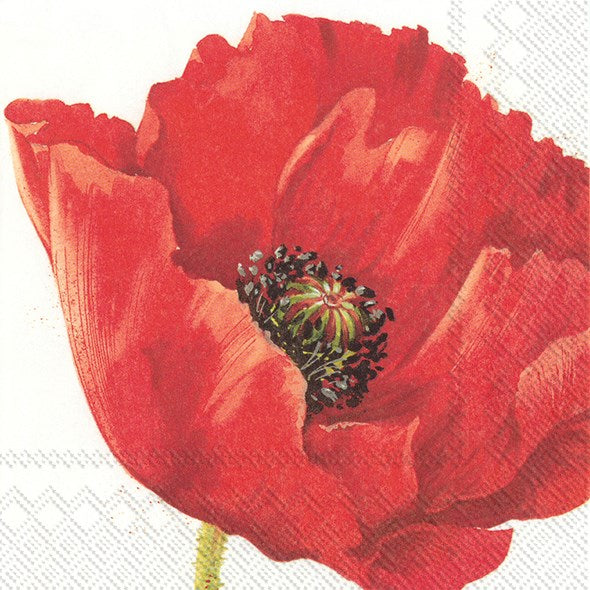 Luncheon Poppy  Napkins