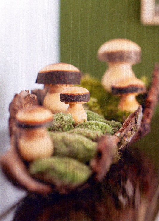 Wooden Mushrooms