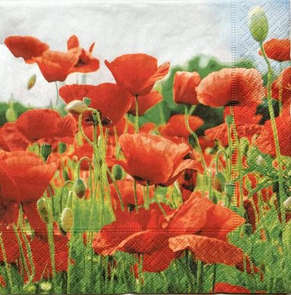 Luncheon Poppy  Napkins
