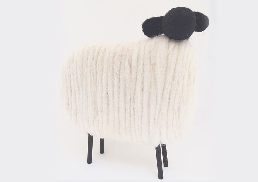 Black headed Sheep